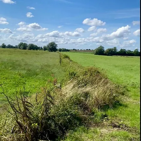 Gite 5 Personnes - Le Refuge Des Parachutistes - En Bordure Du Marais Neuville-au-Plain Exterior photo